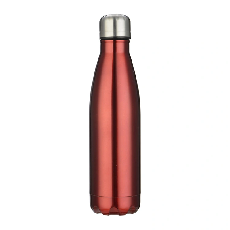 Insulated Cold Water Bottle